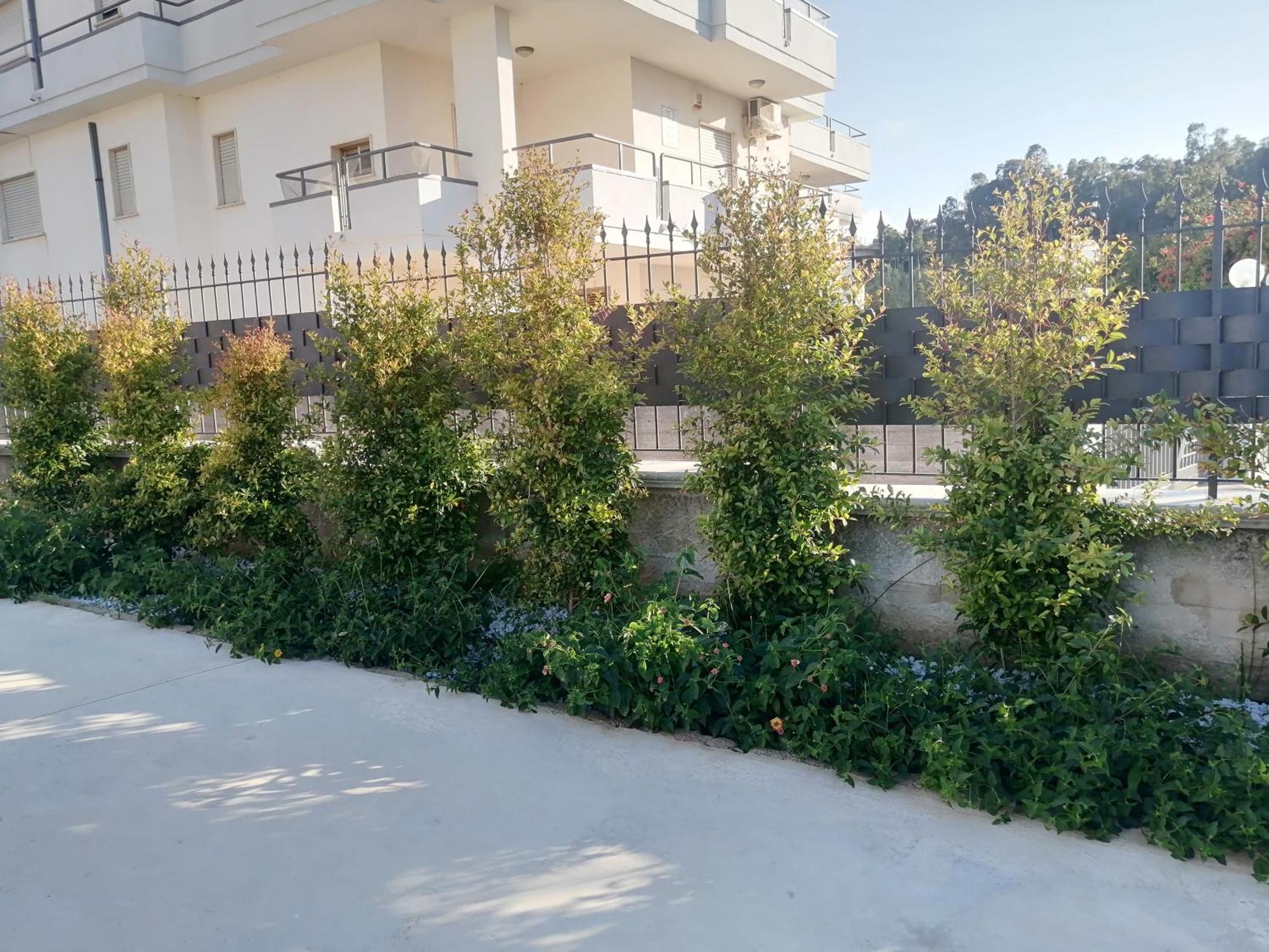 Residence Mare Azzurro Balestrate ภายนอก รูปภาพ